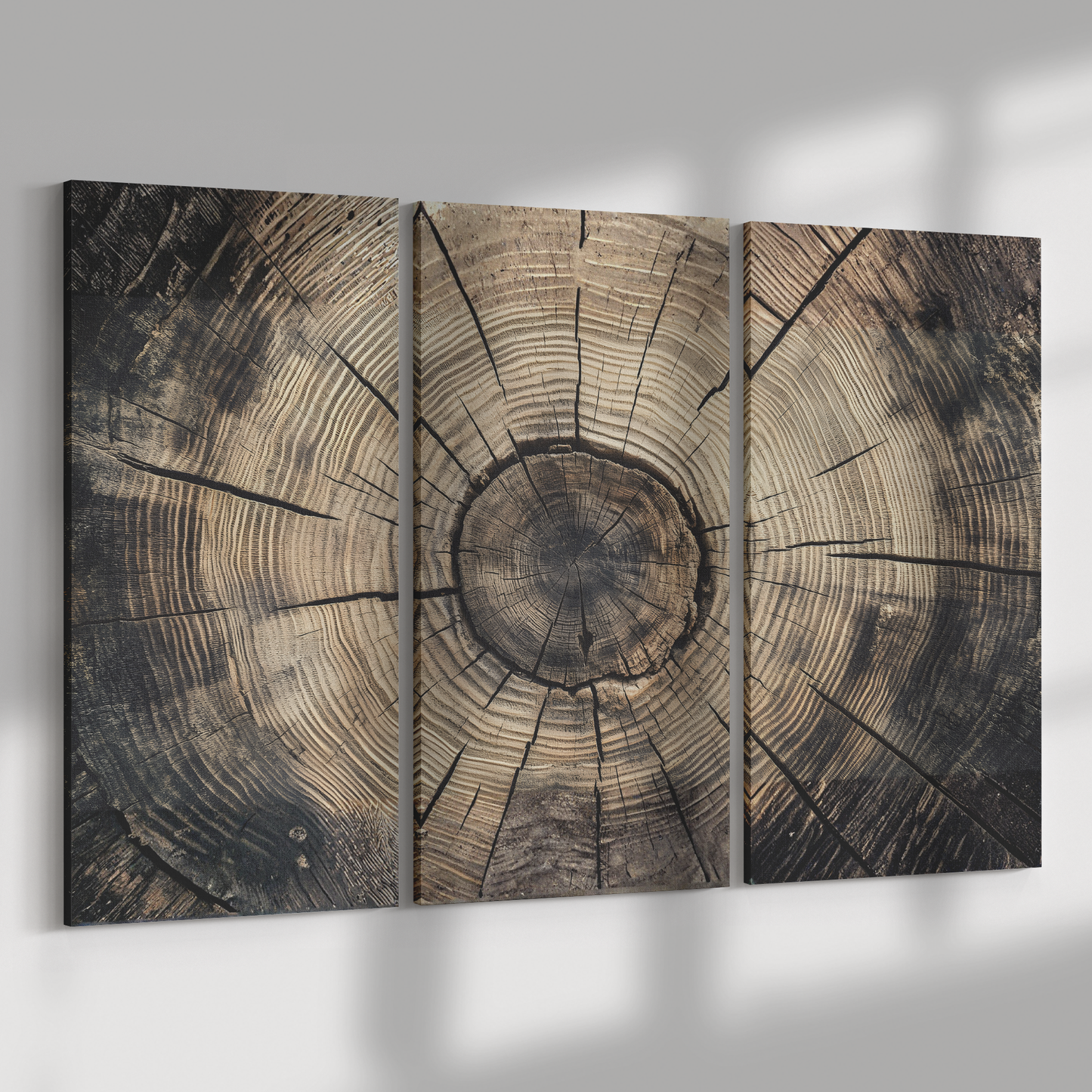 3 Piece peeling bark of a birch tree Art