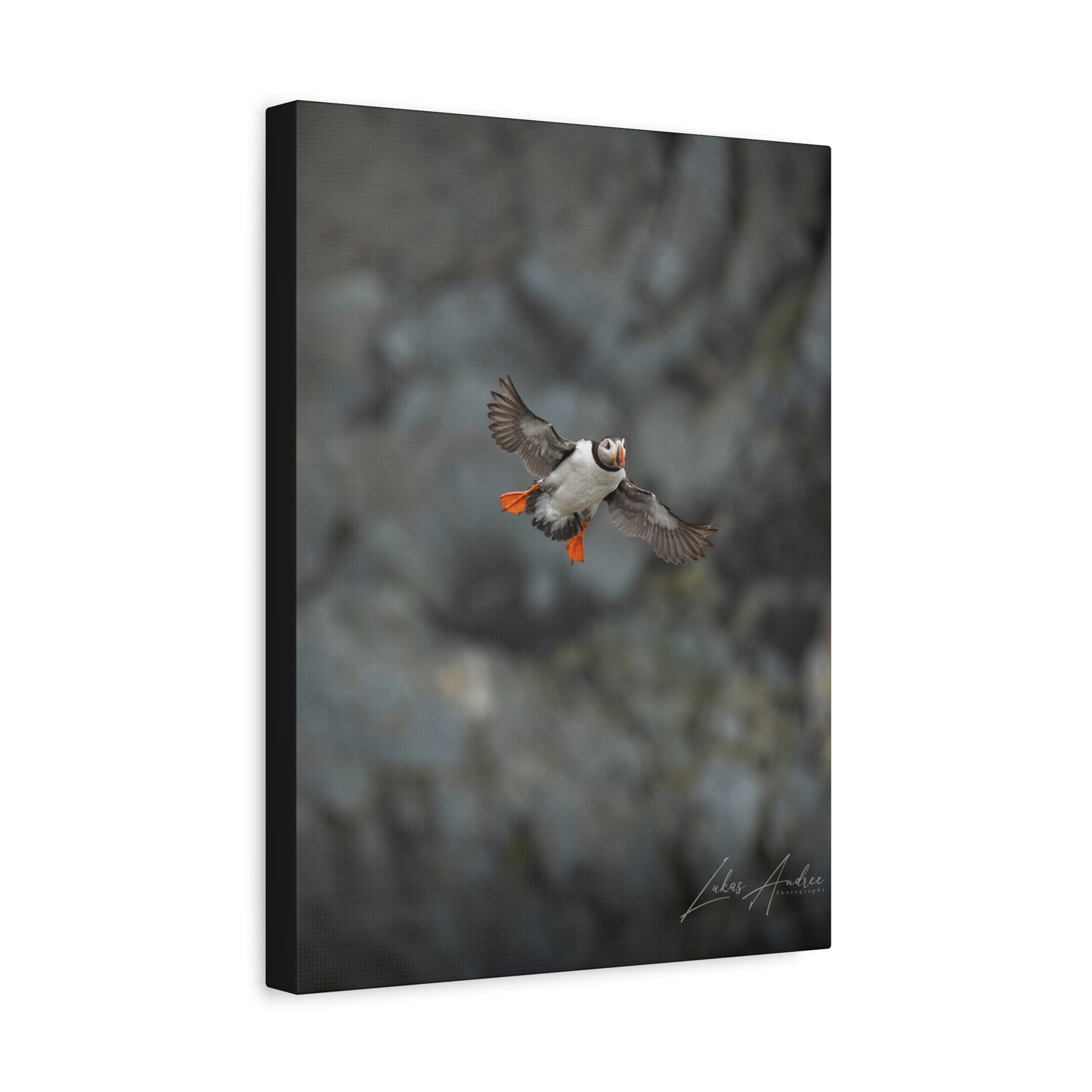 Puffin in Mid‑Flight Over Coastal Cliffs – By Photographer Lukas Andersen