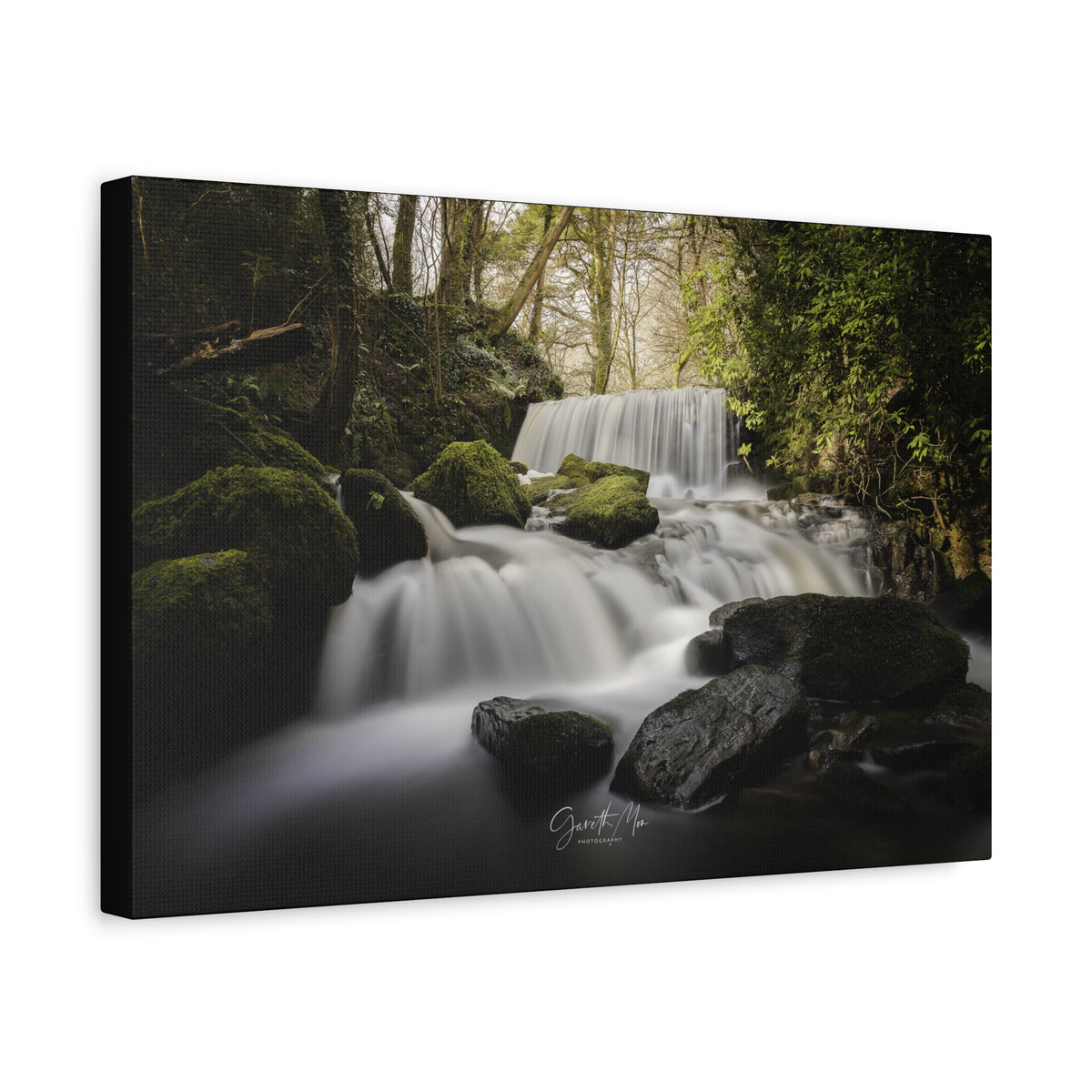 Pwllfanogl Waterfall, Ynys Môn – Sunlight Through the Forest Canopy | By Photographer Gareth Mon Jones