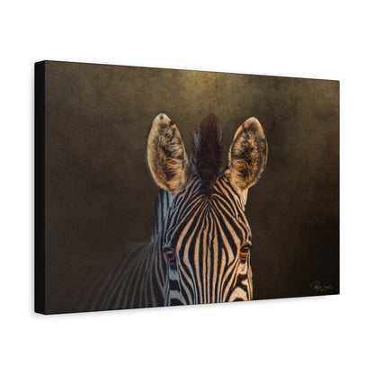 Zebra Close‑Up on Black — By Photographer Patsy Weingart