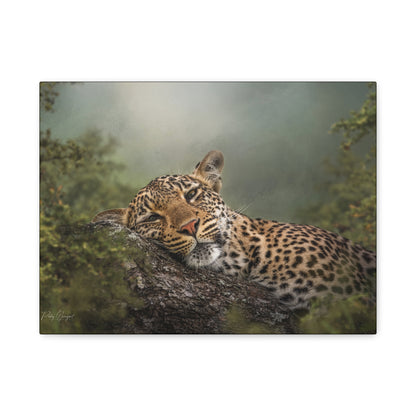 Resting Shadows – Sleepy Leopard on Tree by Photographer Patsy Weingart