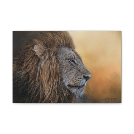 The Watchful King – Close‑Up Male Lion by Photographer Patsy Weingart