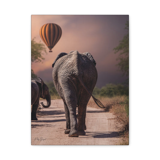 Elephants and Balloon at Dawn – By Photographer Patsy Weingart