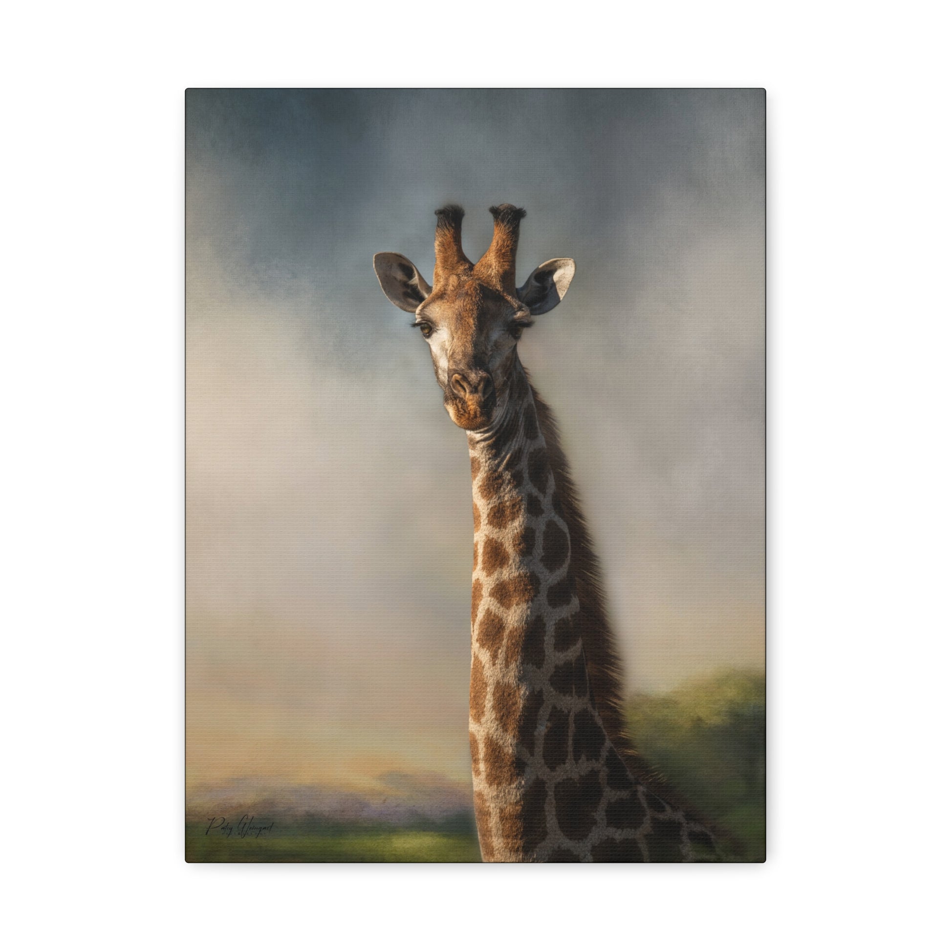 Giraffe in Pastel Light – By Photographer Patsy Weingart