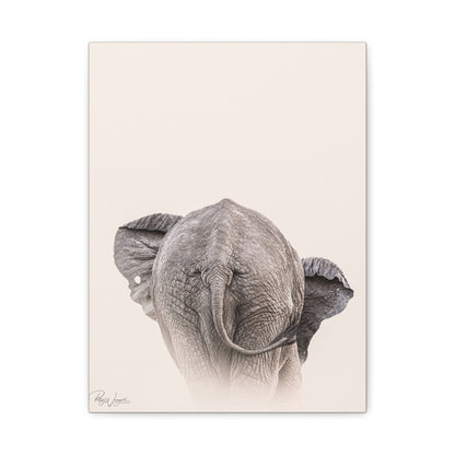 Elephant in Stillness — By Photographer Patsy Weingart