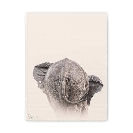 Elephant in Stillness — By Photographer Patsy Weingart