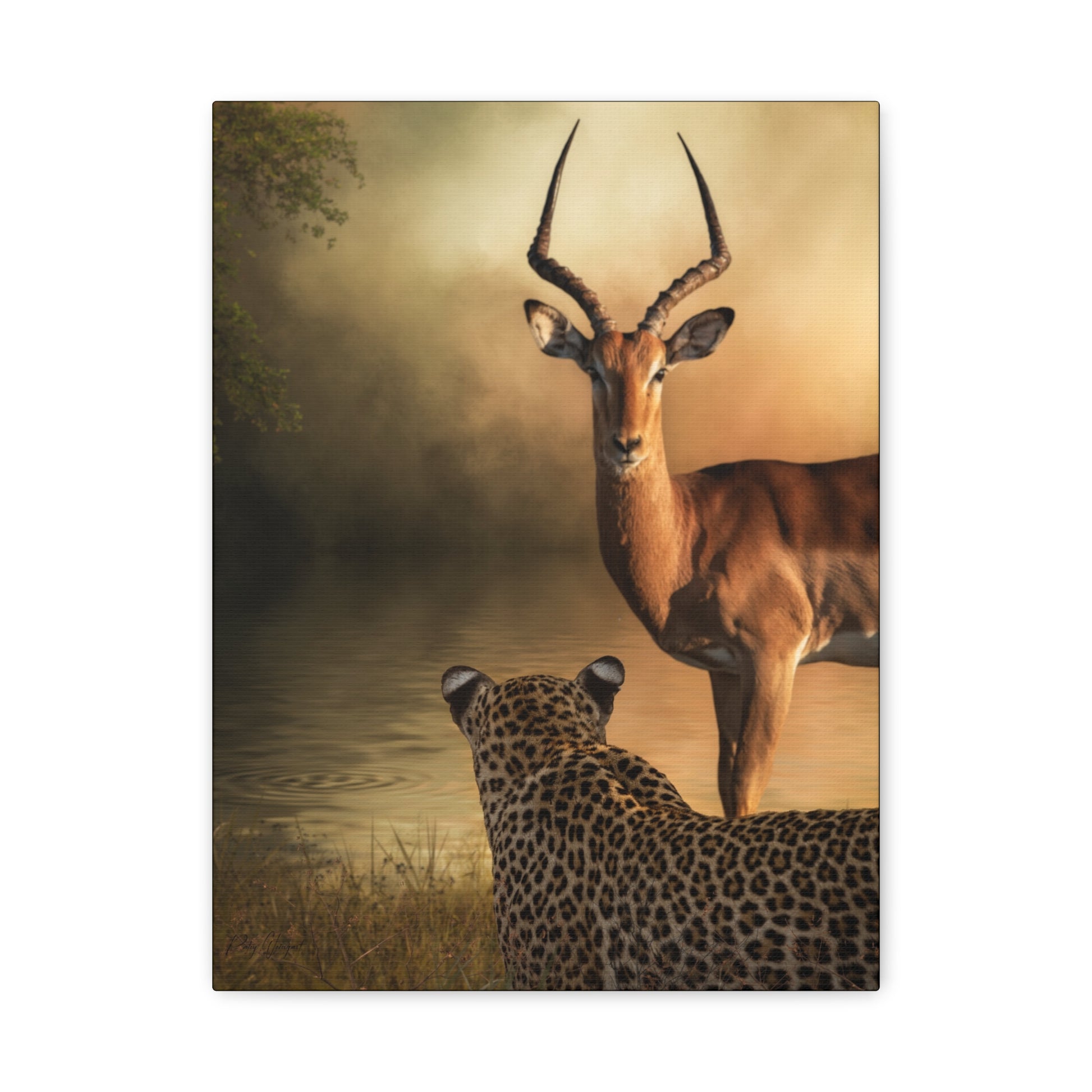 Leopard and Kudu at Dusk – By Photographer Patsy Weingart