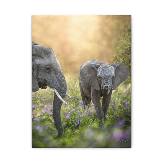 Morning Bond – Adult and Young Elephant in Flowered Meadow by Photographer Patsy Weingart