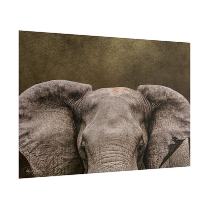 Elephant Portrait Fine Art Print | By Photographer Patsy Weingart