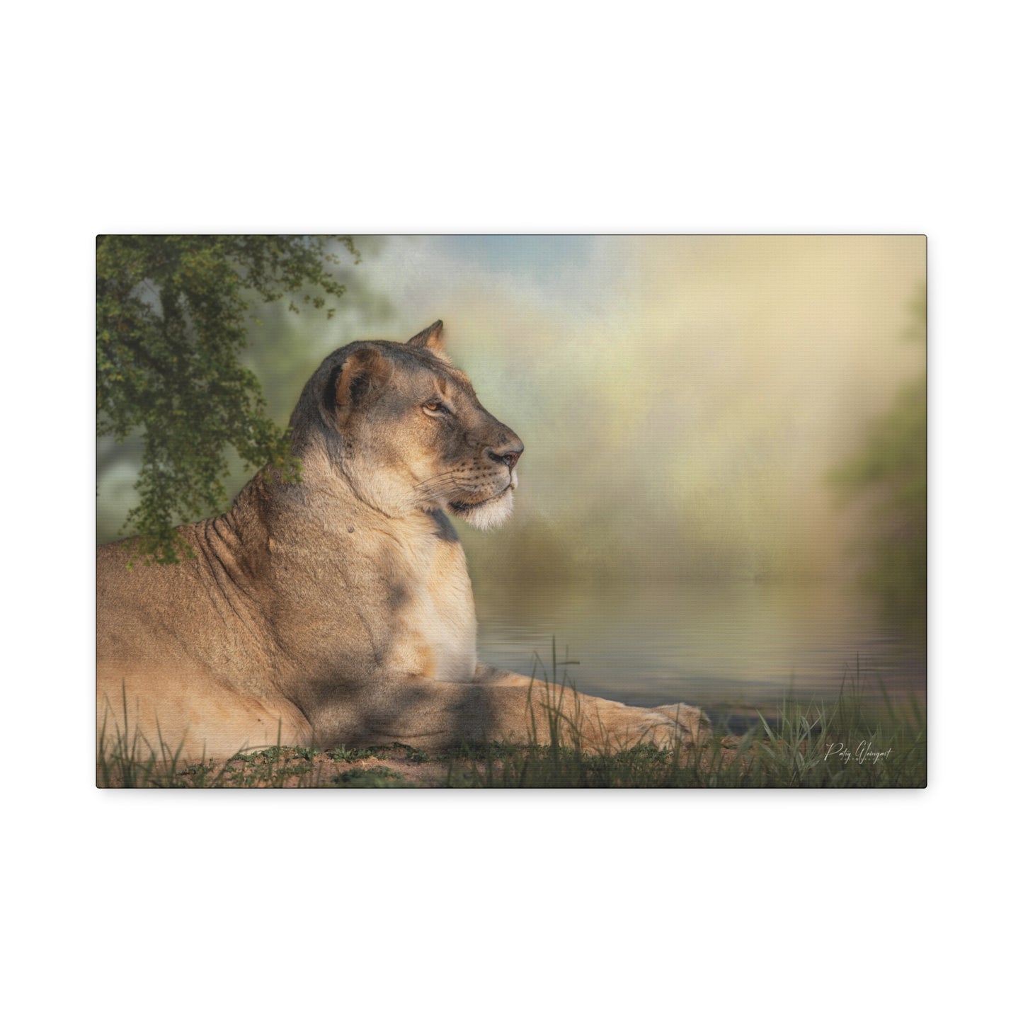 Resting Lioness by the Water – African Wildlife Canvas Print by Photographer Patsy Weingart