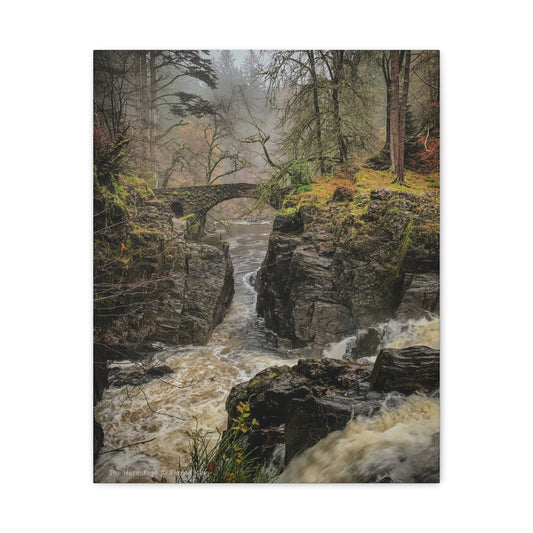 Hermitage Canvas Print – Scottish Woodland Wall Art by Photographer Fergus King