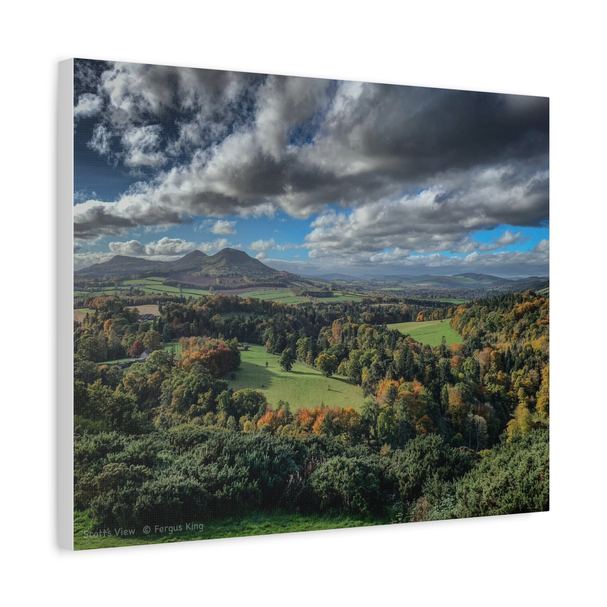 Scott’s View Canvas Print By Photographer Fergus King