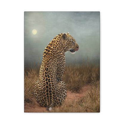 Leopard at Sunset — By Photographer Patsy Weingart