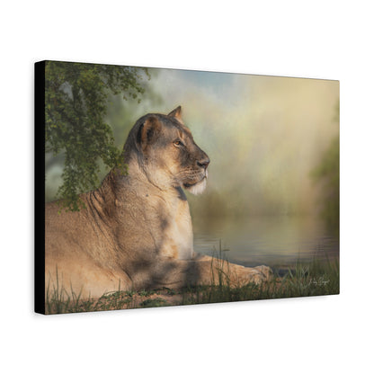 Resting Lioness by the Water – African Wildlife Canvas Print by Photographer Patsy Weingart
