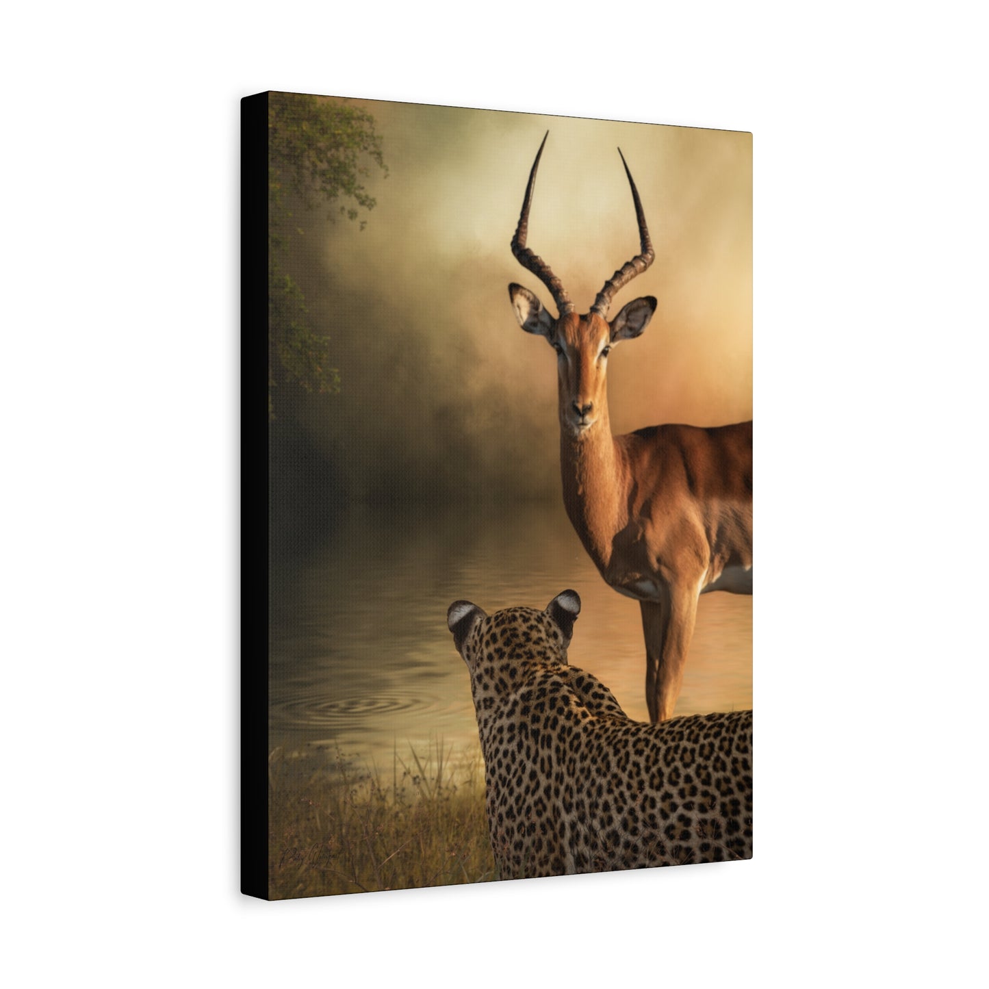 Leopard and Kudu at Dusk – By Photographer Patsy Weingart
