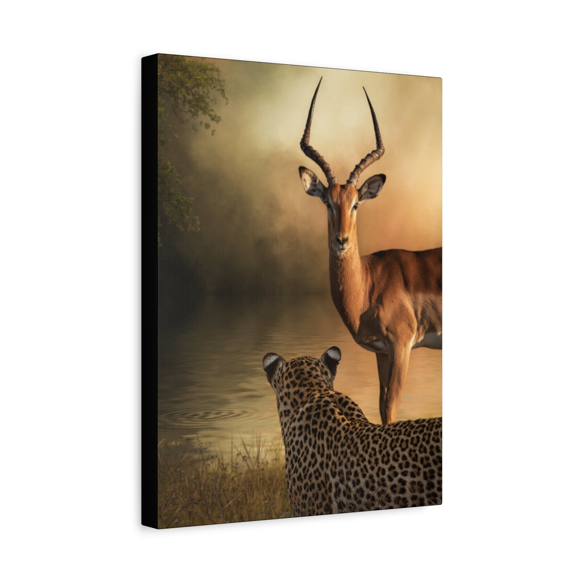 Leopard and Kudu at Dusk – By Photographer Patsy Weingart