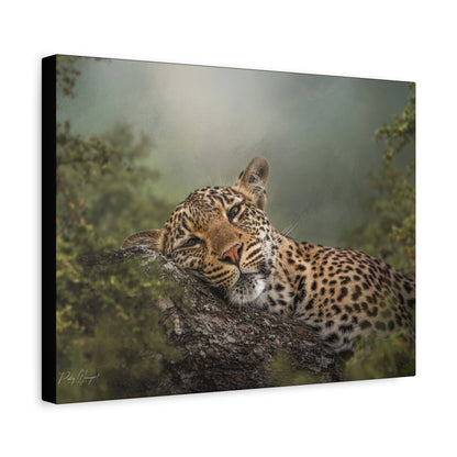 Resting Shadows – Sleepy Leopard on Tree by Photographer Patsy Weingart