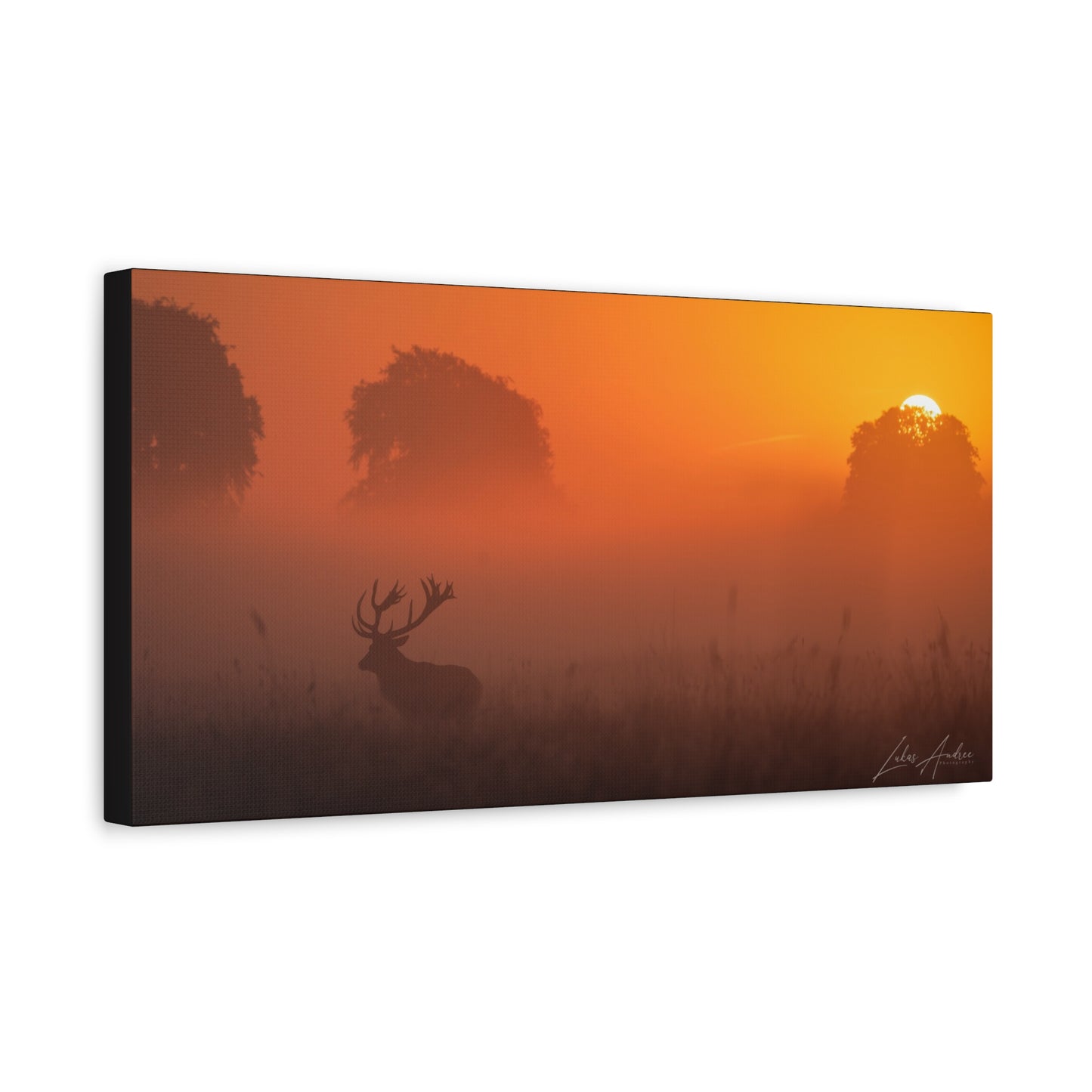 Stag Silhouette at Sunset — By Photographer Lukas Andersen