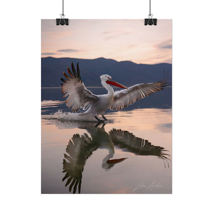 Pelican Landing Fine Art Print | By Photographer Lukas Andersen