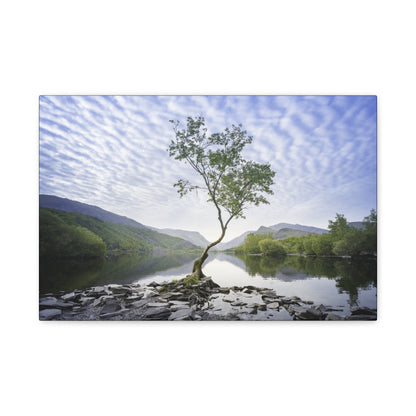 Llyn Padarn in July, Snowdonia – Lone Tree Reflections Under Summer Skies | By Photographer Gareth Mon Jones