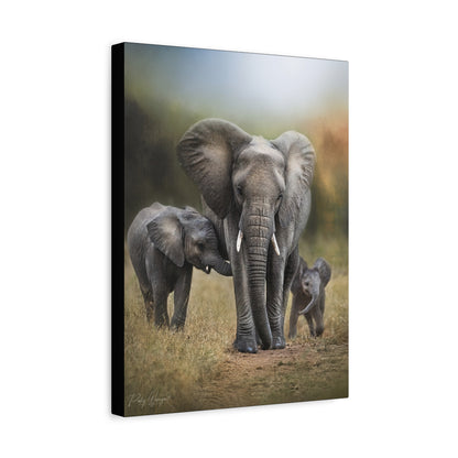 Elephant Family on the Path – By Photographer Patsy Weingart
