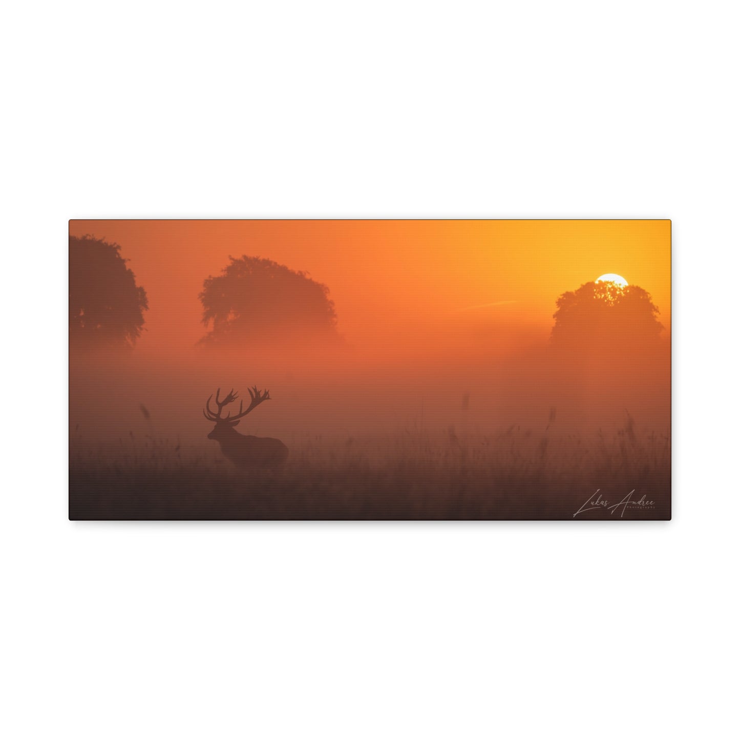 Stag Silhouette at Sunset — By Photographer Lukas Andersen