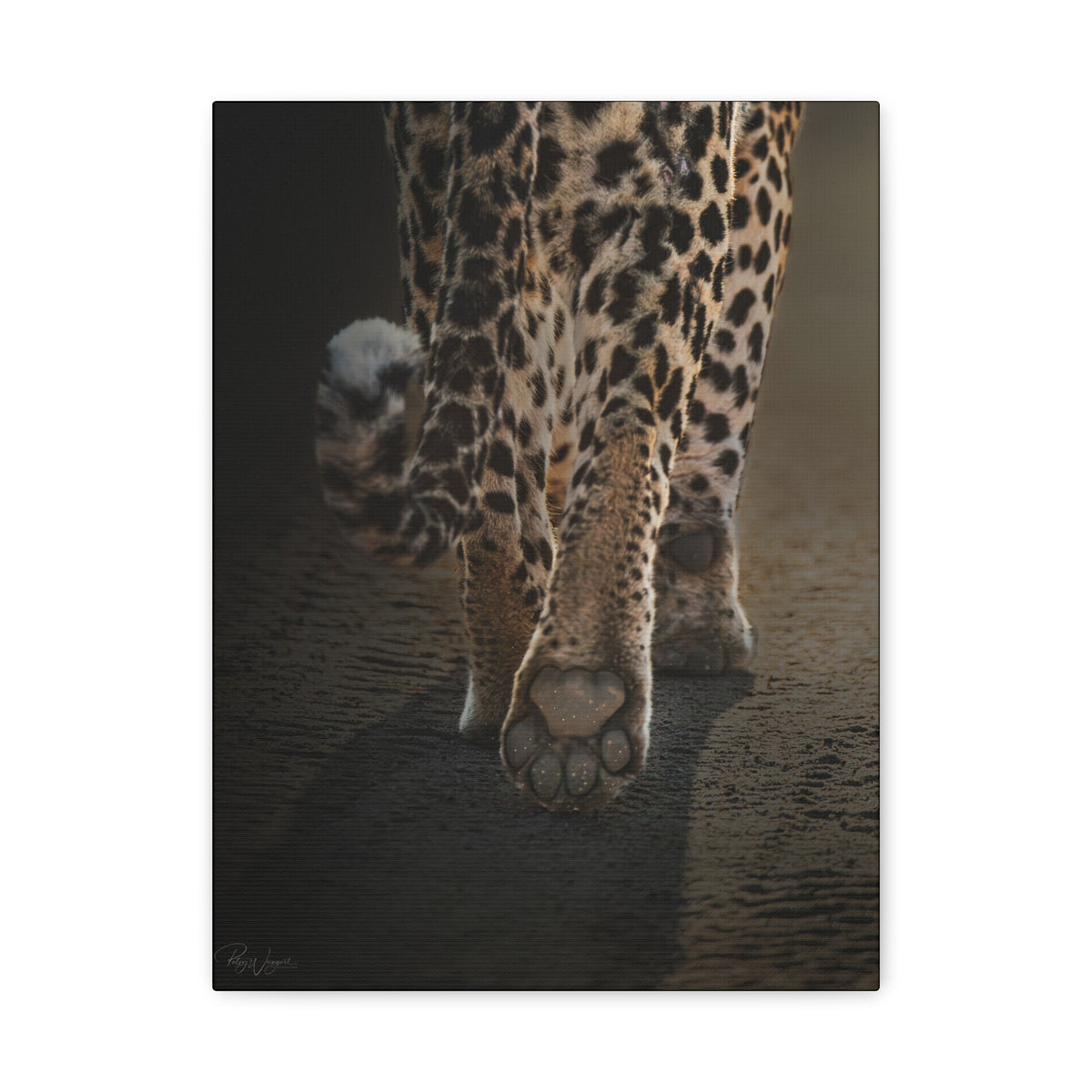 Path of the Hunter — By Photographer Patsy Weingart