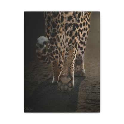 Path of the Hunter — By Photographer Patsy Weingart