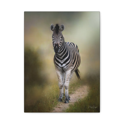 Zebra on the Path – By Photographer Patsy Weingart