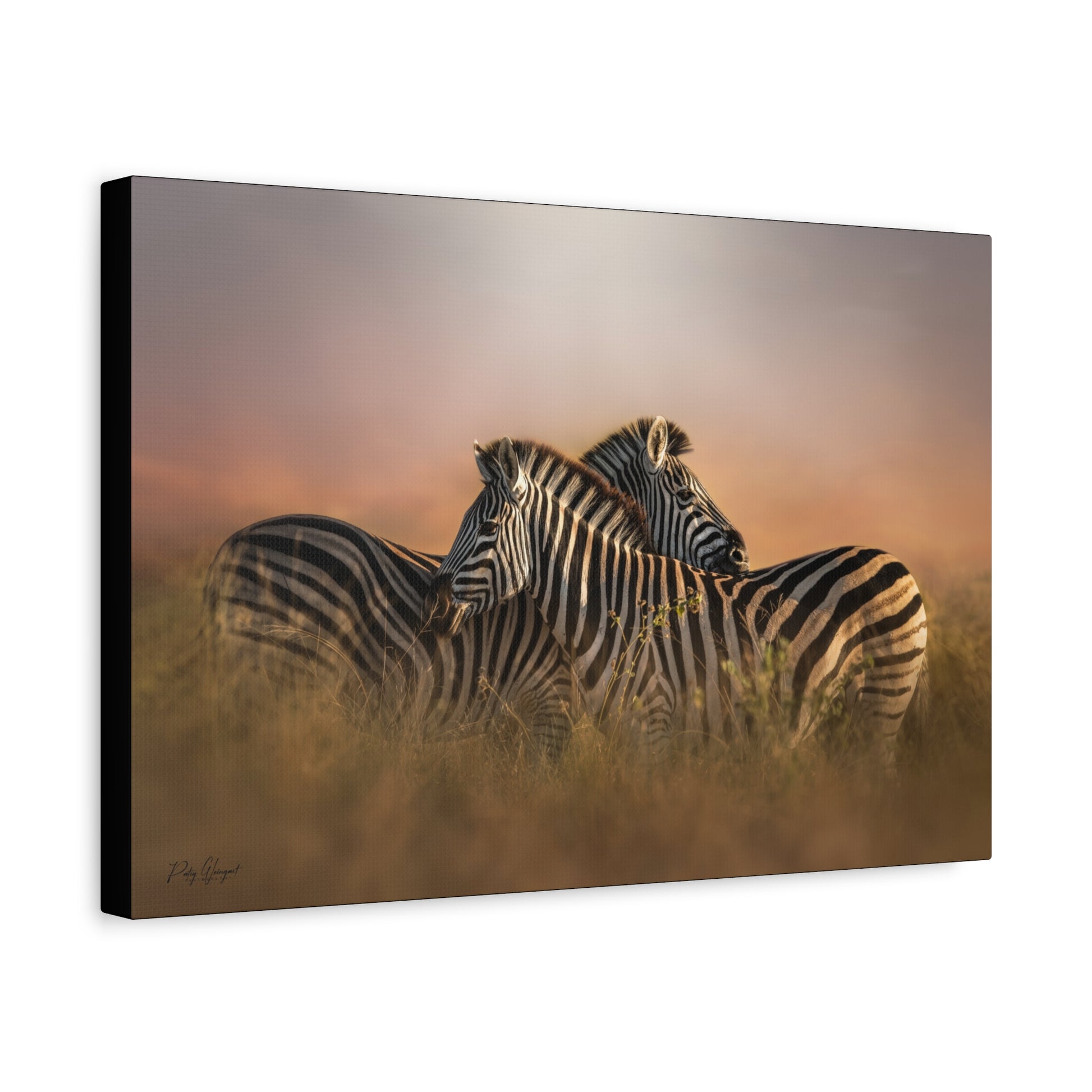 Crossed Zebras at Sunset – By Photographer Patsy Weingart
