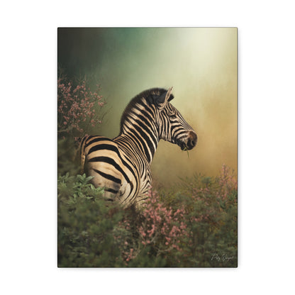 Striped in Stillness, By Photographer Patsy Weingart