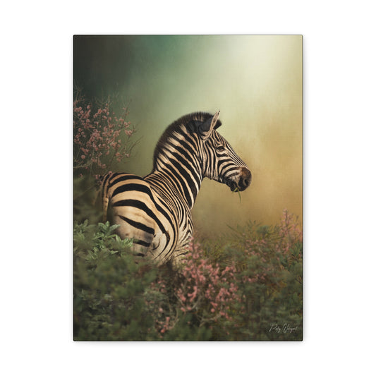 Striped in Stillness, By Photographer Patsy Weingart
