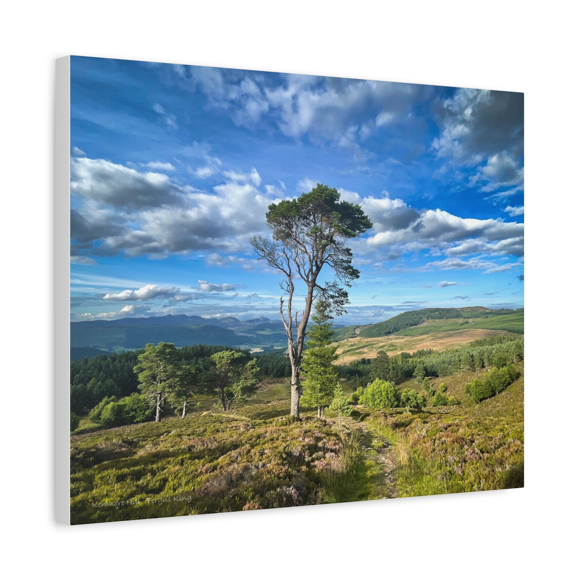 Kenmore Hill Canvas Print – By Photographer Fergus King | Scottish Highlands Landscape Wall Art