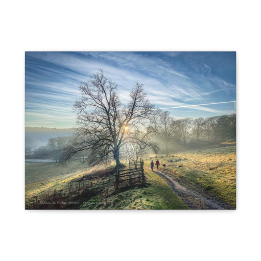 Penicuik House Estate canvas print – by photographer Fergus King l Scottish Palladian ruin wall art