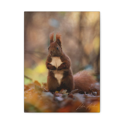 Red Squirrel Among Autumn Leaves – By Photographer Lukas Andersen