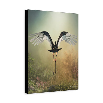 Grace in Flight – By Photographer Patsy Weingart