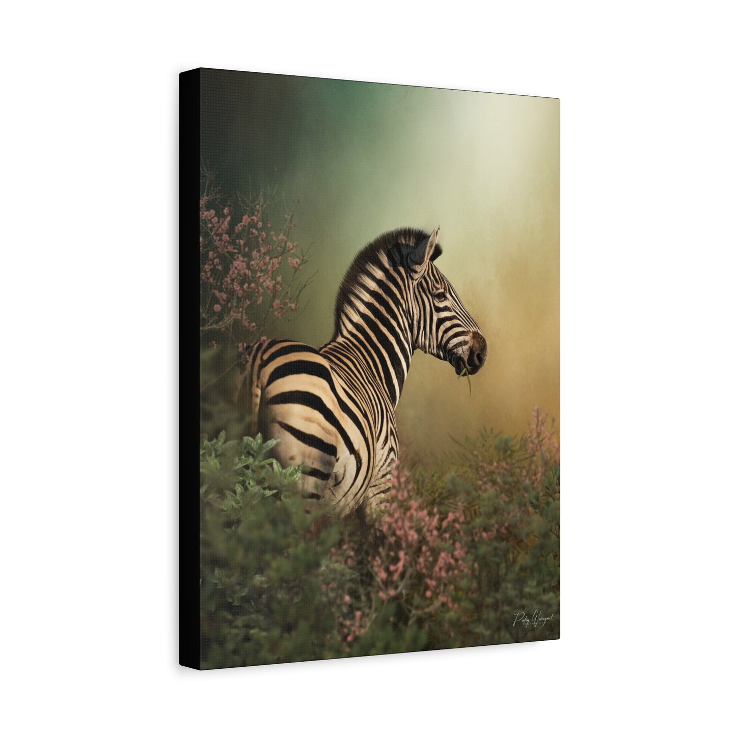 Striped in Stillness, By Photographer Patsy Weingart