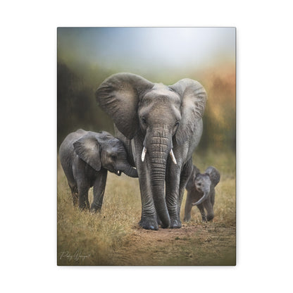 Elephant Family on the Path – By Photographer Patsy Weingart
