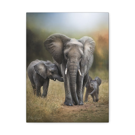 Elephant Family on the Path – By Photographer Patsy Weingart