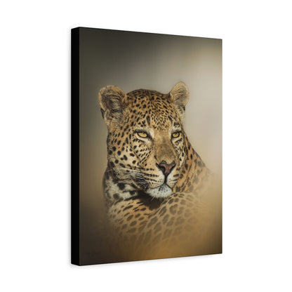 Eyes of the Wild – By Photographer Patsy Weingart