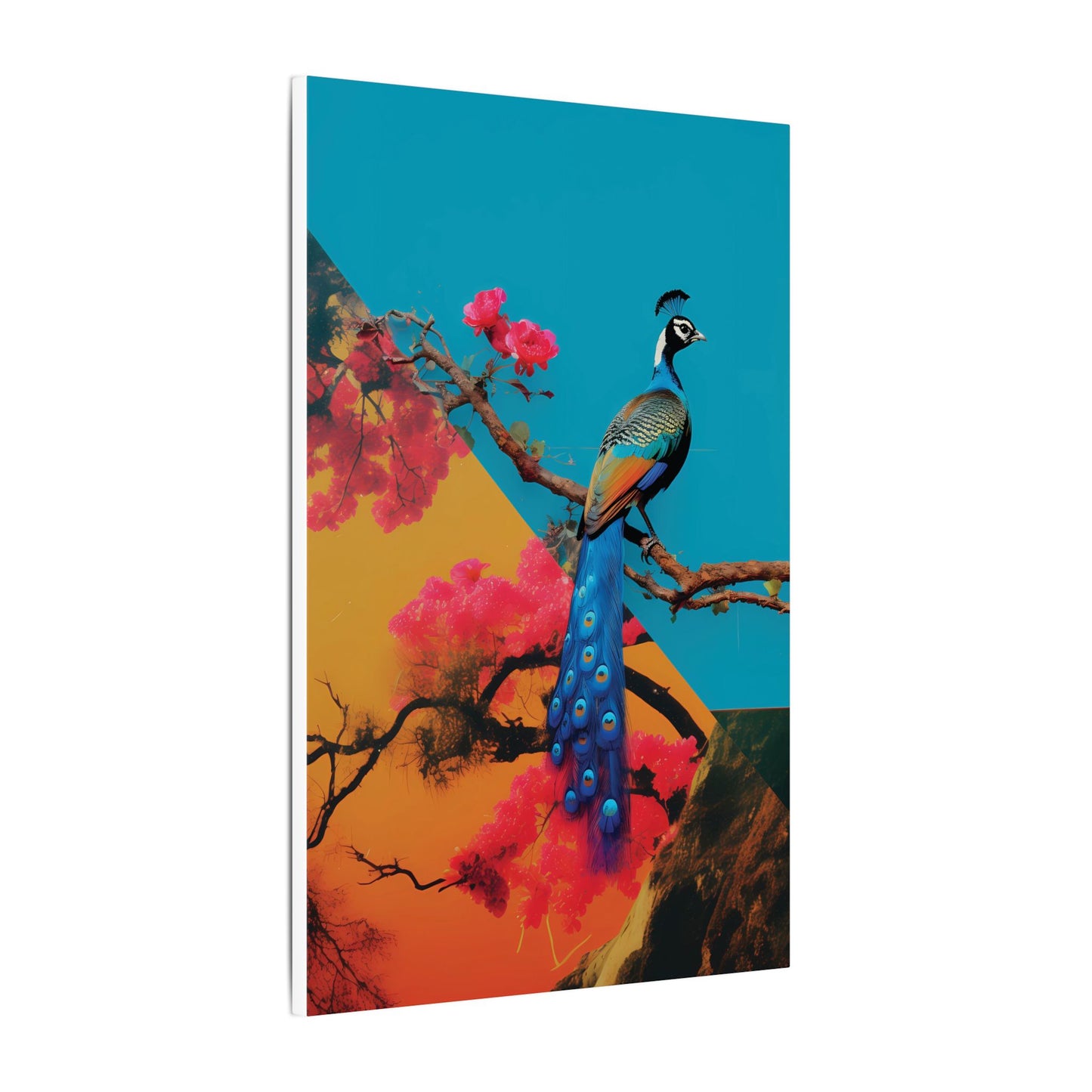 Vibrant Peacock Canvas Art Print