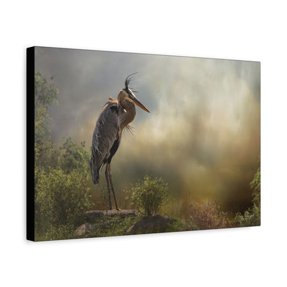 Poised Among Green, By Photographer Patsy Weingart