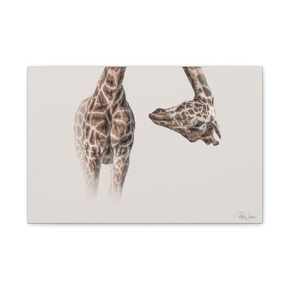 Graceful Giraffe Bend — By Photographer Patsy Weingart