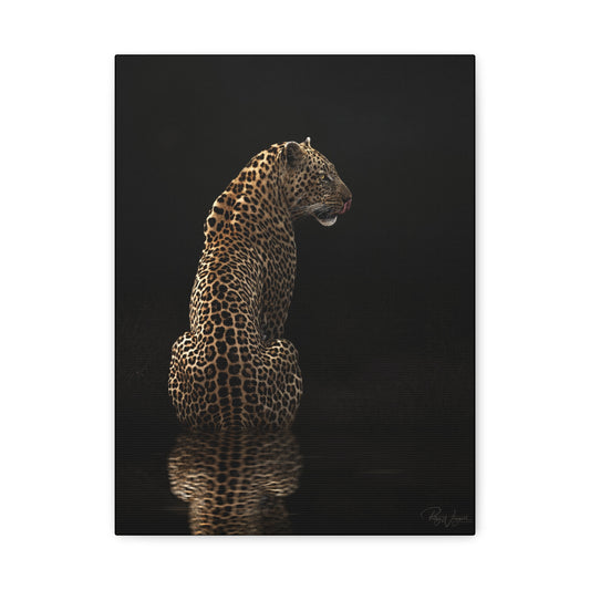 Reflections of Power — By Photographer Patsy Weingart
