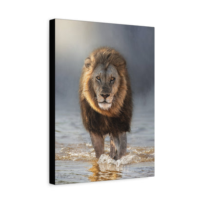 Lion of the Delta – By Photographer Patsy Weingart
