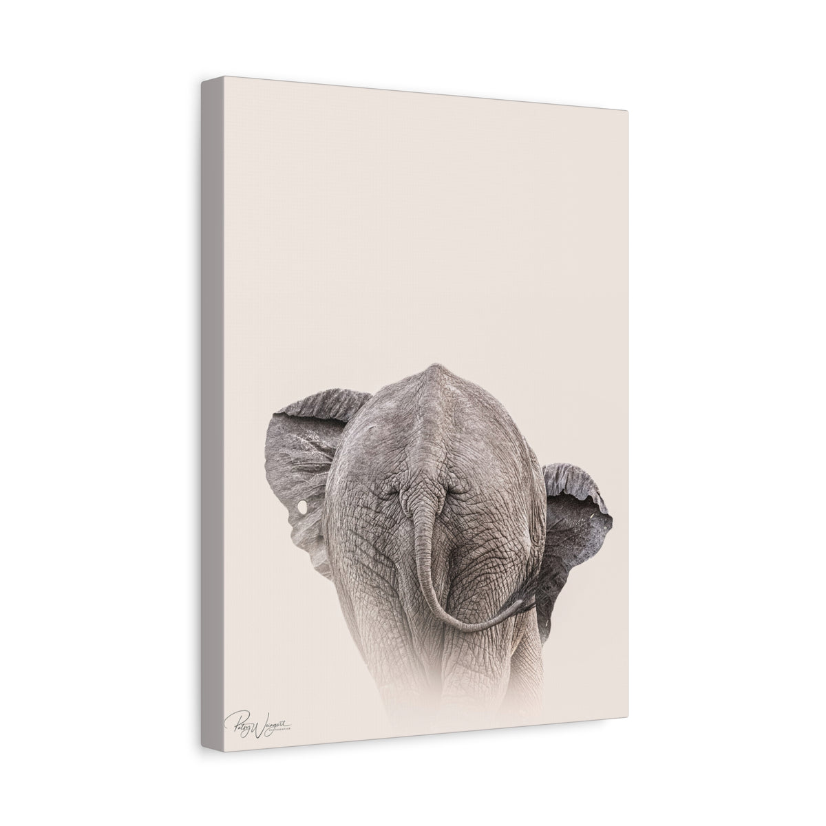 Elephant in Stillness — By Photographer Patsy Weingart