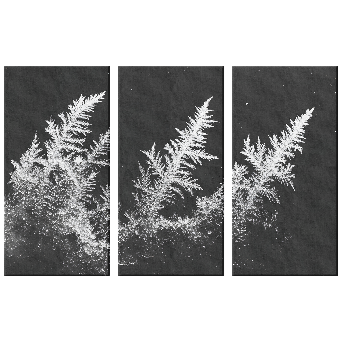 3 Piece Frozen Fern Leaf Canvas Art