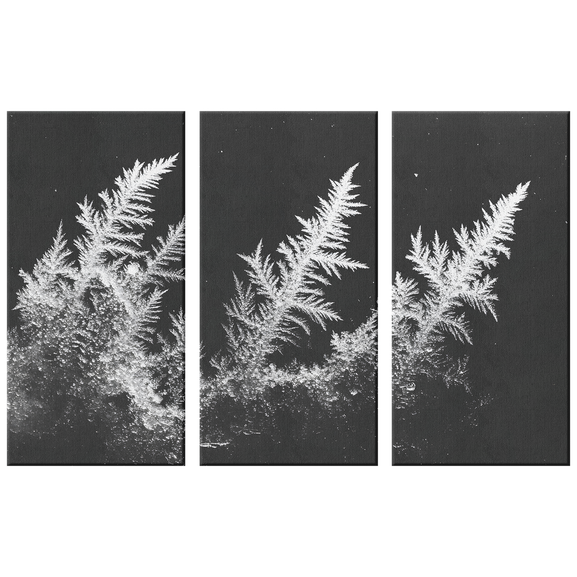 3 Piece Frozen Fern Leaf Canvas Art