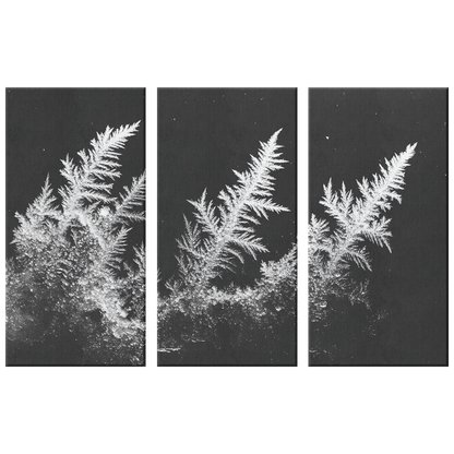 3 Piece Frozen Fern Leaf Canvas Art