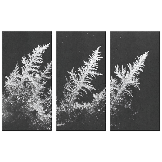 3 Piece Frozen Fern Leaf Canvas Art